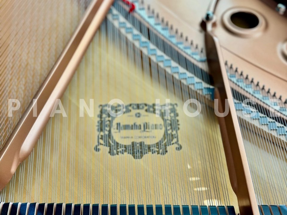 Hình ảnh chi tiết YAMAHA C3 góc chụp 7